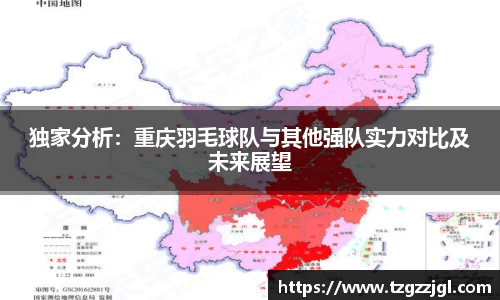 独家分析：重庆羽毛球队与其他强队实力对比及未来展望